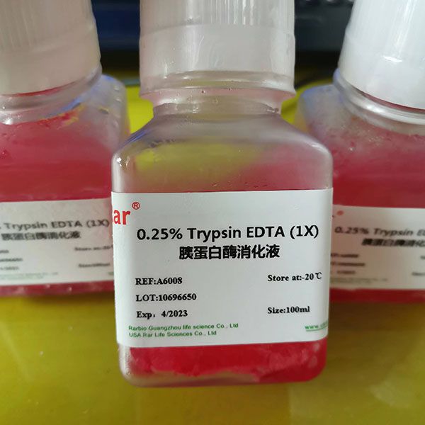 0.25%胰蛋白酶消化液